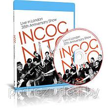 Incognito - Live in London. 35th Anniversary Show (2014) (Blu-ray)