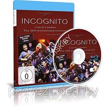 Incognito - Live In London. The 30th Anniversary Concert (2010) (Blu-ray)