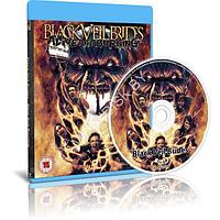 Black Veil Brides - Alive and Burning (2015) (Blu-ray)