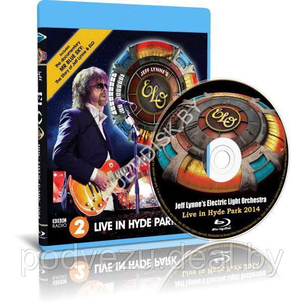 Electric Light Orchestra (feat. Jeff Lynne) - Live in Hyde Park (2015) (Blu-ray) - фото 1 - id-p201798252
