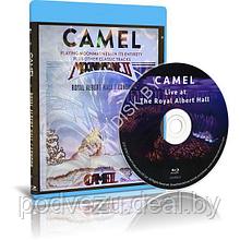 Camel - Live at The Royal Albert Hall (2018) (Blu-ray)