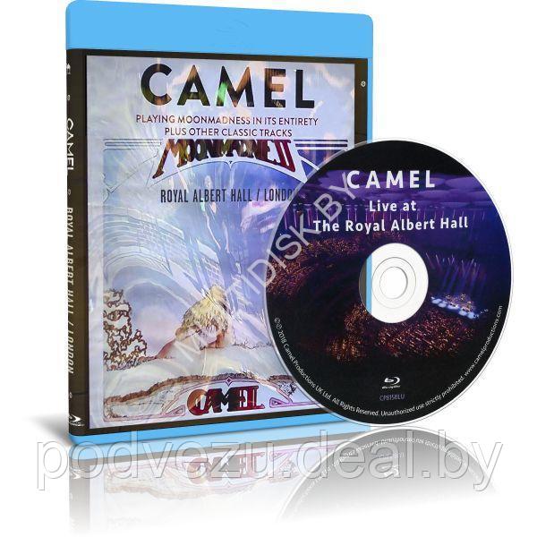 Camel - Live at The Royal Albert Hall (2018) (Blu-ray) - фото 1 - id-p201798271