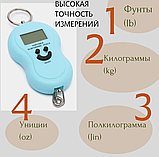 Портативные электронные весы (Безмен) Portable Electronic Scale до 30 кг Голубые, фото 6