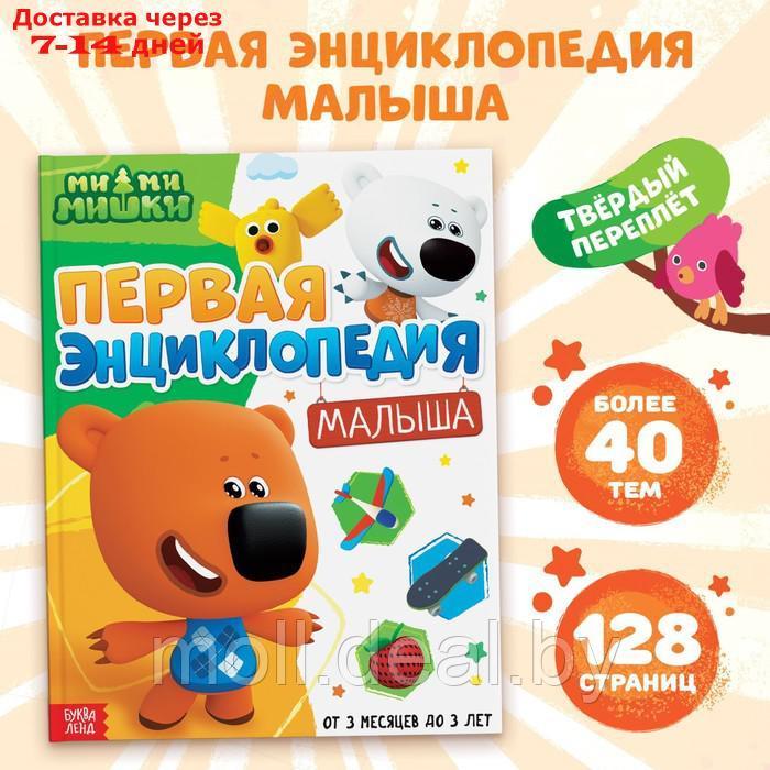 Первая энциклопедия малыша, 128 стр., Ми-ми-мишки - фото 1 - id-p201777827