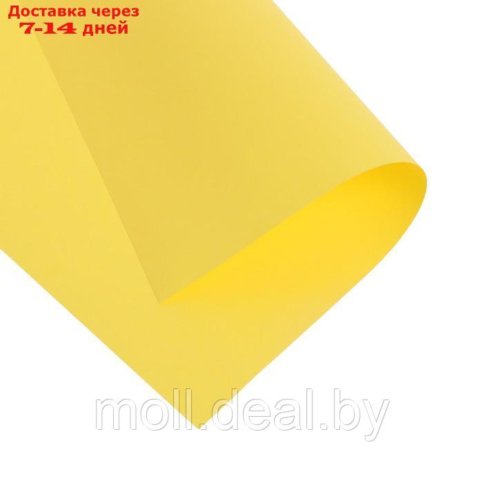 Бумага цветная А4 500л Calligrata Интенсив Желтый 80г/м2 - фото 4 - id-p201774865