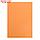 Бумага цветная А4 500л Calligrata Умеренный интенсив МИКС 5цв 80г/м2, фото 2