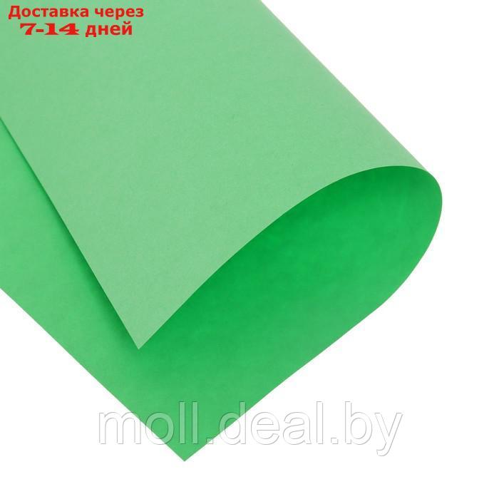 Бумага цветная А4 500л Calligrata Интенсив Зеленый 80г/м2 - фото 4 - id-p201774880