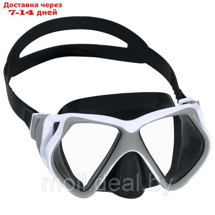 Маска для плавания Dominator Pro Mask, от 14 лет, цвета микс 22075 - фото 3 - id-p201776900