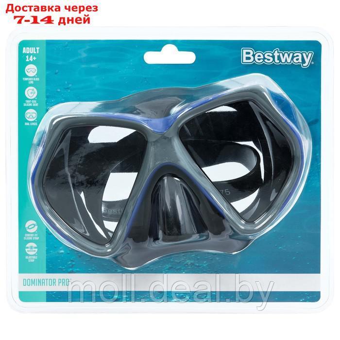 Маска для плавания Dominator Pro Mask, от 14 лет, цвета микс 22075 - фото 8 - id-p201776900