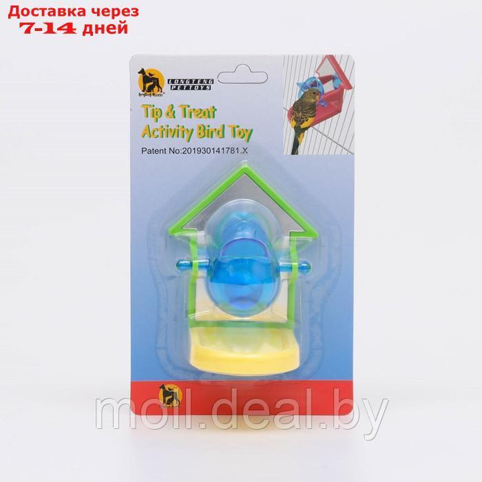 Игрушка-кормушка для птиц с зеркальцем, 9,8 х 5,7 х 8 см, микс цветов - фото 2 - id-p201777027