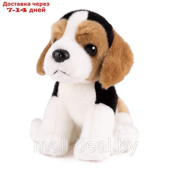 Мягкая игрушка "Собака эстонская гончая", 20 см MT-TSC2127-837-20