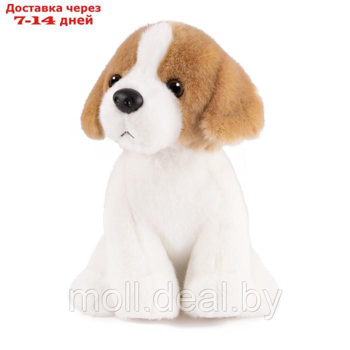 Мягкая игрушка "Собака бигль", 20 см MT-TSC2127-15-20 - фото 1 - id-p201776131