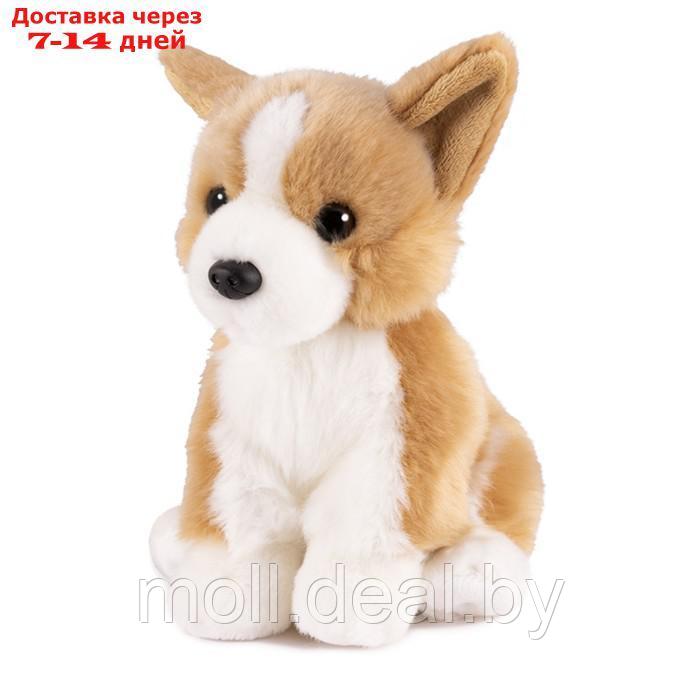 Мягкая игрушка "Собака Вельш-корги", 20 см MT-TSC2097-9-20 - фото 1 - id-p201776148
