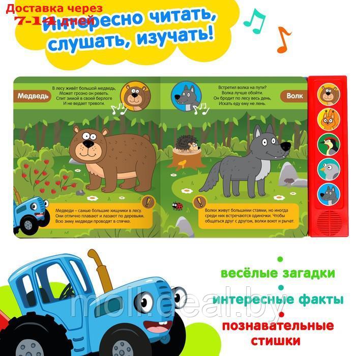 Книжка с музыкальным чипом "Животные леса", Синий трактор - фото 2 - id-p201777186