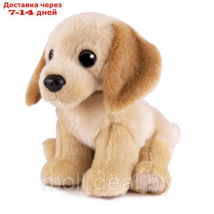 Мягкая игрушка "Собака лабрадор", 20 см MT-TSC2127-809-20