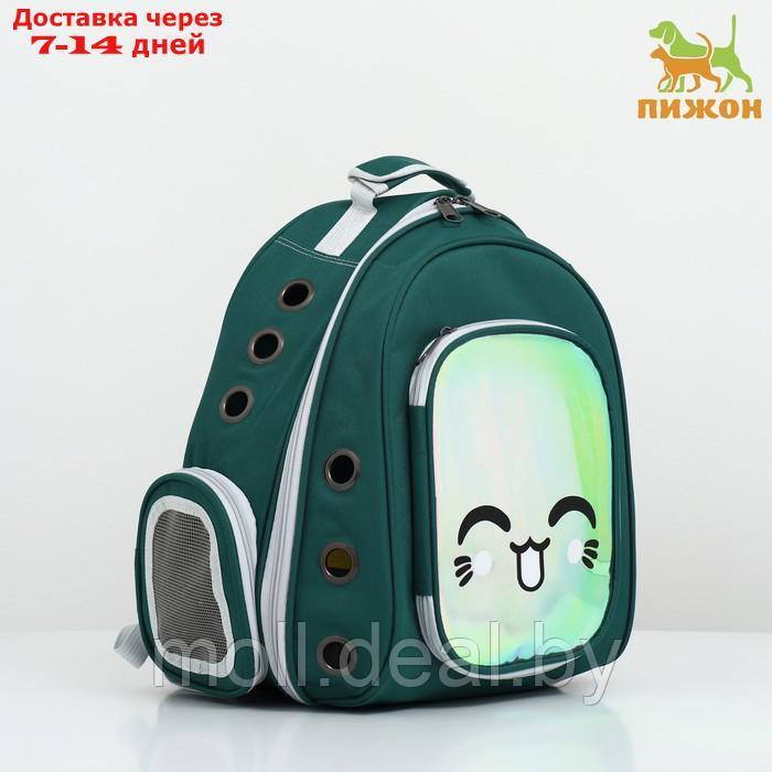 Рюкзак для переноски животных с окном для обзора,  зелёный
