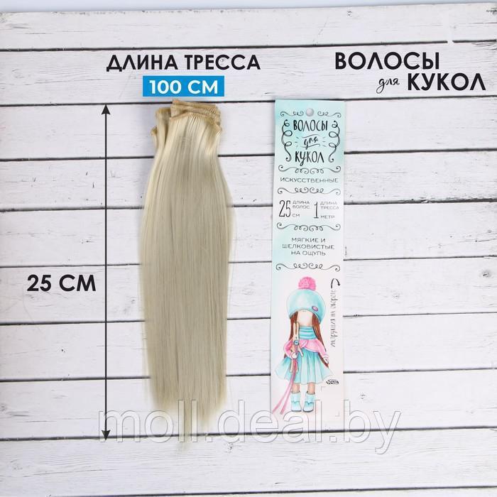 Волосы - тресс для кукол "Прямые" длина волос: 25 см, ширина: 100 см, цвет № 88 - фото 1 - id-p201778524