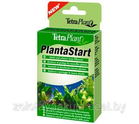 Tetra PlantaStart Удобрение, способствующее быстрому ускорению аквариумных растений 12таб на 300л - фото 1 - id-p201816546