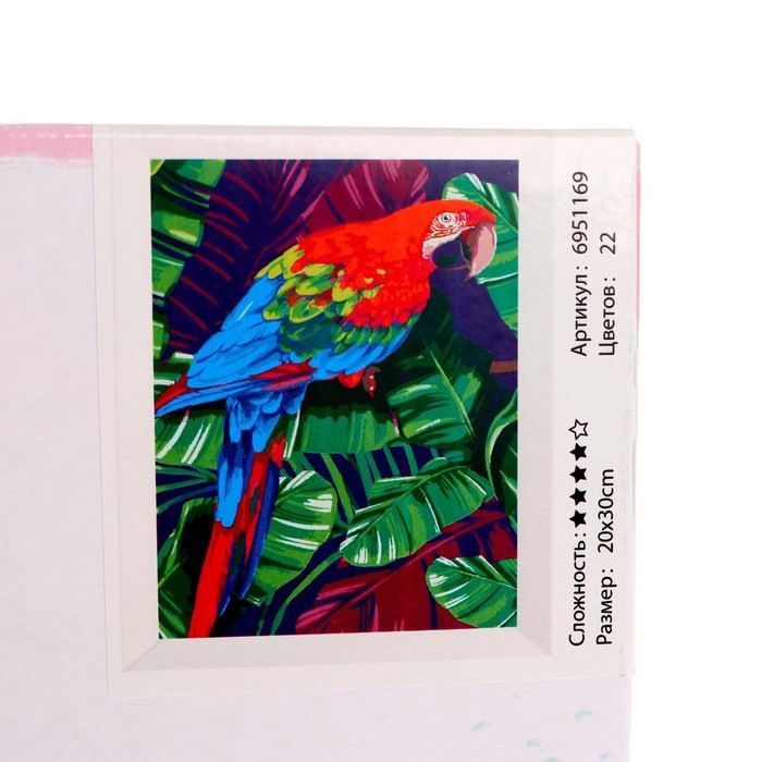 Картина по номерам на холсте с подрамником «Попугай» 20х30 см - фото 5 - id-p201843447