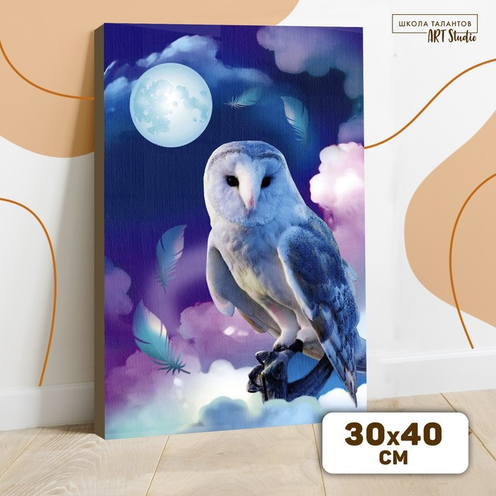 Картина по номерам на холсте с подрамником «Сказочная сова», 30х40 см - фото 1 - id-p201843481