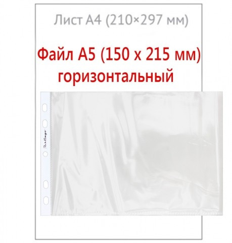 Файл А5 перфорированный горизонтальный Berlingo 30 мкм, гладкий, глянцевый, горизонтальный, 150*215 мм (до 80 - фото 2 - id-p201850825