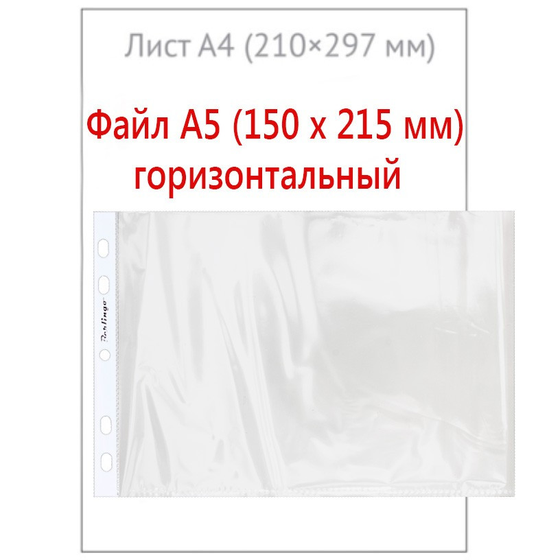 Файл А5 перфорированный горизонтальный Berlingo 30 мкм, гладкий, глянцевый, горизонтальный, 150*215 мм (до 80 - фото 3 - id-p201850825