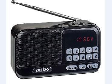 FM-радиоприемник PERFEO PF B4059 ASPEN черный