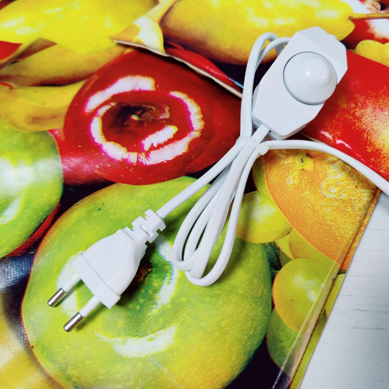 Электросушилка с ТЕРМОрегулятором "Самобранка" 50*50 см (Сушка фруктов, овощей, ягод, трав, кореньев и - фото 4 - id-p201864703