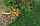 Бур садовый Торнадика "Супер бур Комбо" TORNADO для тяжелой почвы, глубина бурения 1.2 м, фото 4