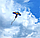 Воздушный змей "Летнее настроение" 140x116 см, в ассортименте (черепашка, акула, попугай), фото 3