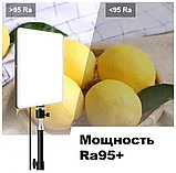 LED лампа для студийного освещения Camera Light MM-240, фото 4