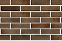 Клинкер Retro Brick Cardamon 245 x 65