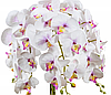 Искусственные цветы Орхидеи  в кашпо 5 веток, 95 см, фото 4