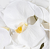 Искусственные цветы Орхидеи  в кашпо 5 веток, 95 см, фото 3