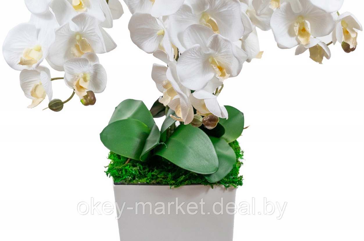 Искусственные цветы Орхидеи в кашпо 5 веток, 95 см - фото 7 - id-p201927991