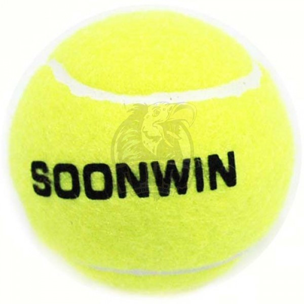 Мяч теннисный (арт. ODIN-60) - фото 1 - id-p201936299