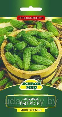Огурец Tытyc F1. 2 г. "Живой Мир", Беларусь.