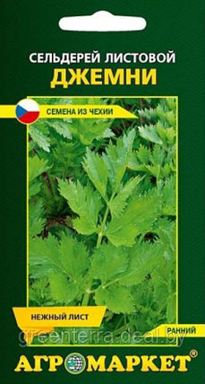 Сельдерей листовой Джемни 0.2гр, фото 2
