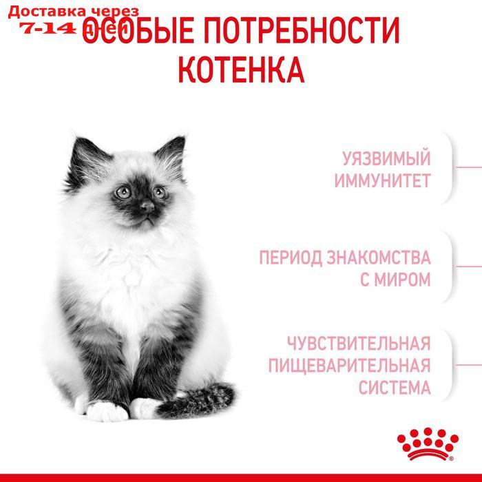Сухой корм RC Kitten для котят, 300 г - фото 4 - id-p201936816