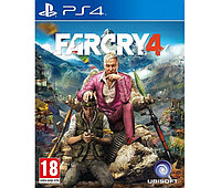 Far Cry 4 (PS4)