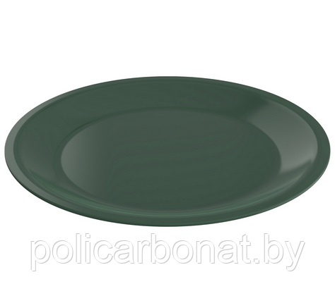 Тарелка Caruba 26 см, зеленый - фото 1 - id-p201983467