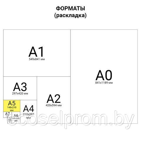 Ежедневник А5 320 стр.недатированный - фото 5 - id-p13111794