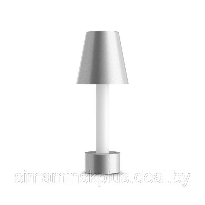 Настольная аккумуляторная светодиодная лампа Tet-a-tet LED 1x3 Вт - фото 2 - id-p202030685