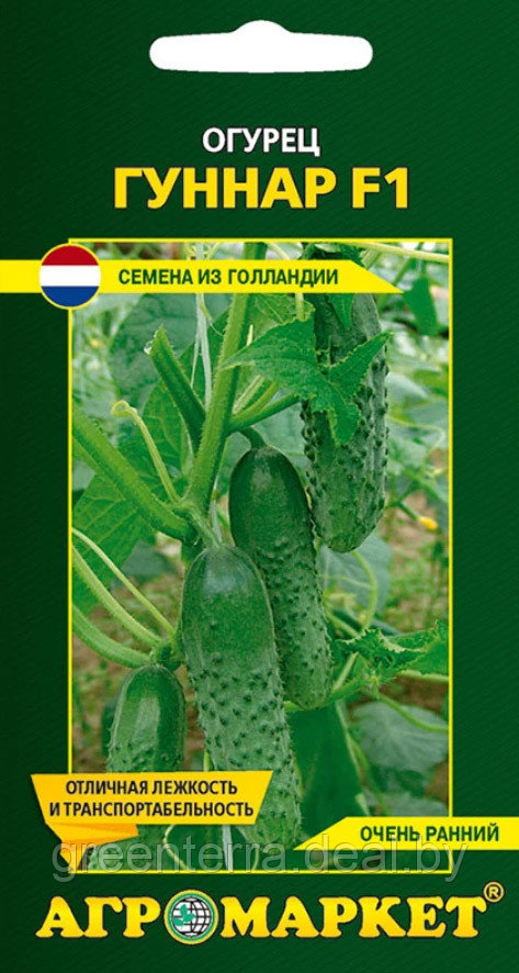 Купить Семена Голландских Огурцов В Беларуси