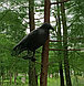 Пластиковый ворон отпугиватель птиц SiPL, фото 6