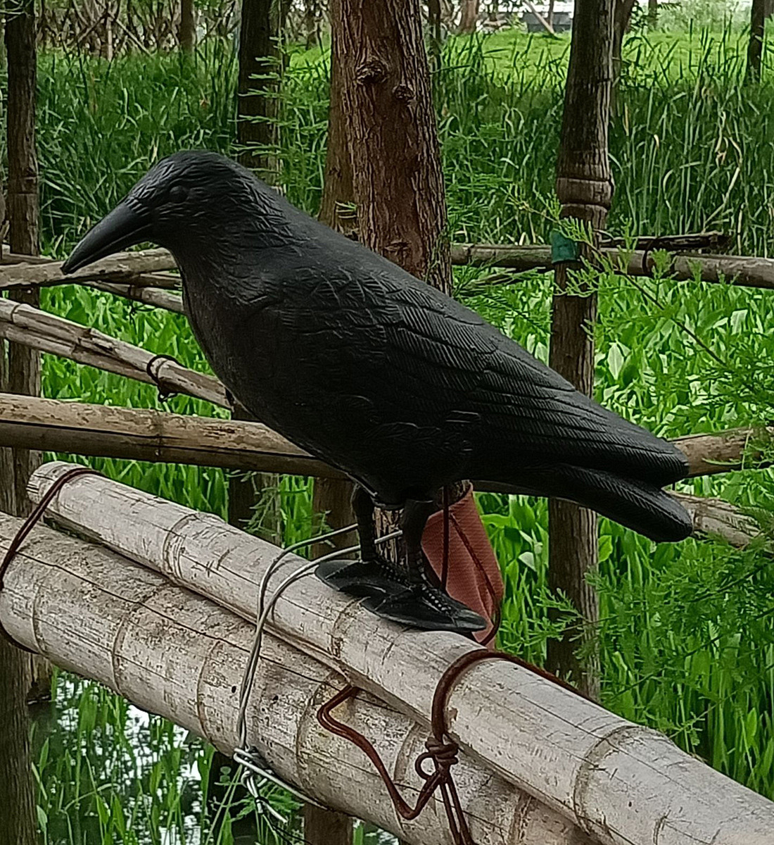 Пластиковый ворон отпугиватель птиц SiPL - фото 7 - id-p66689710