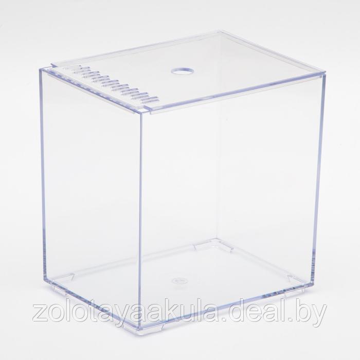 Barbus Аквариум МИНИ пластиковый с крышкой 3 литра Betta Box - фото 1 - id-p202053813