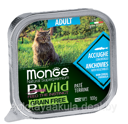 100 гр Monge Cat BW Adult Anchovies/veg. Консервированный корм для котов с анчоусом и овощами - фото 1 - id-p202053815