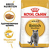 "Royal Canin" British Shorthair Adult сухой корм для взрослых британских короткошерстных кошек 400г, фото 3