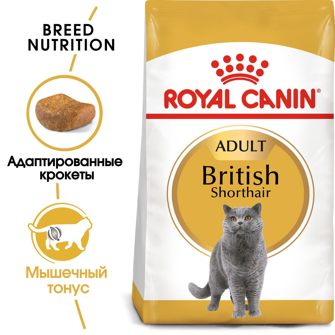 "Royal Canin" British Shorthair Adult сухой корм для взрослых британских короткошерстных кошек 400г - фото 3 - id-p202095122